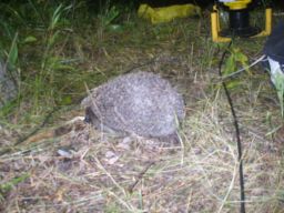 exp-zr-2009 428